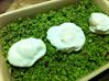 Broccoli cous-cous med pocherede æg